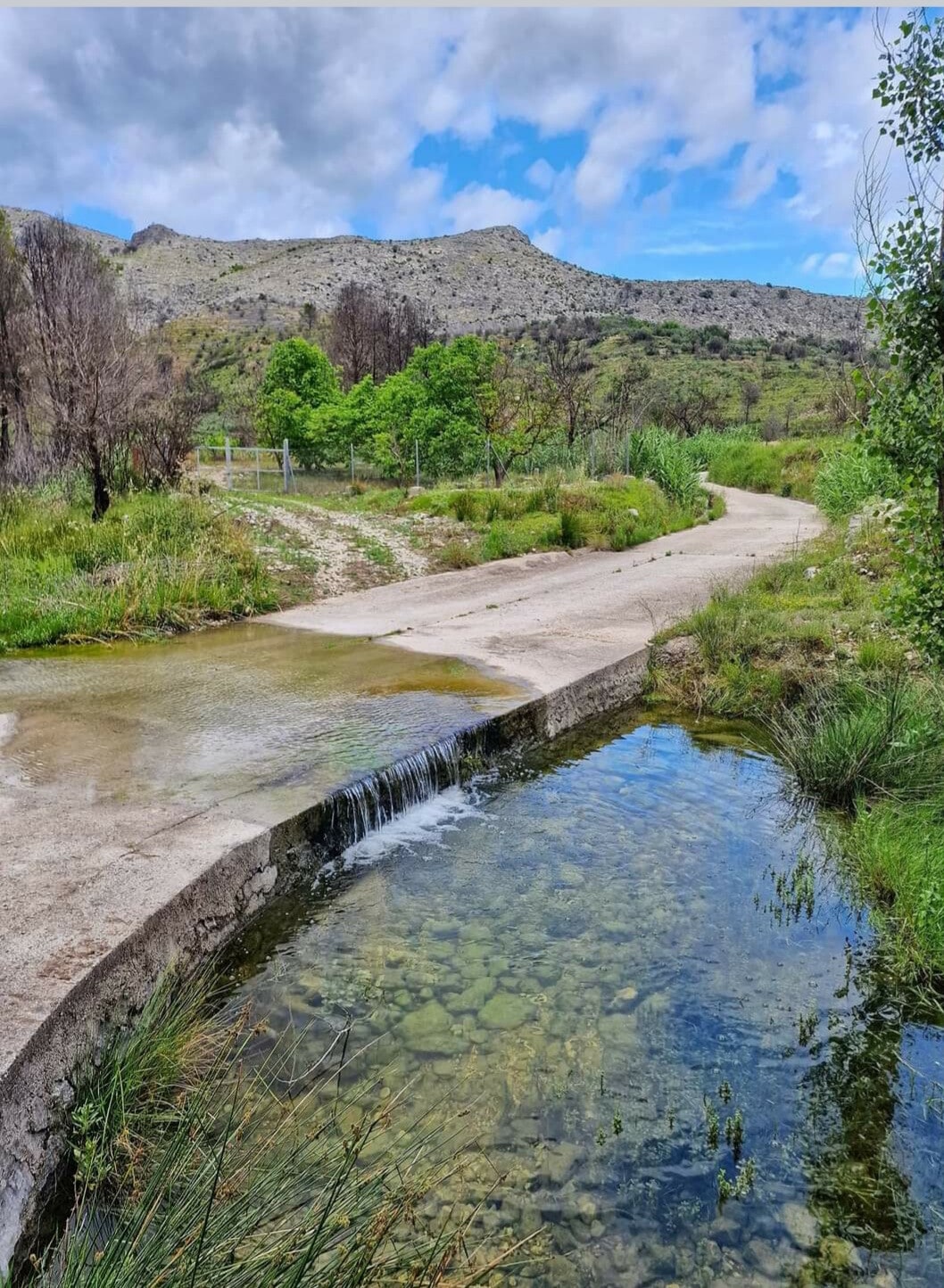 Ontdek Meta Volante aan de Costa Blanca.